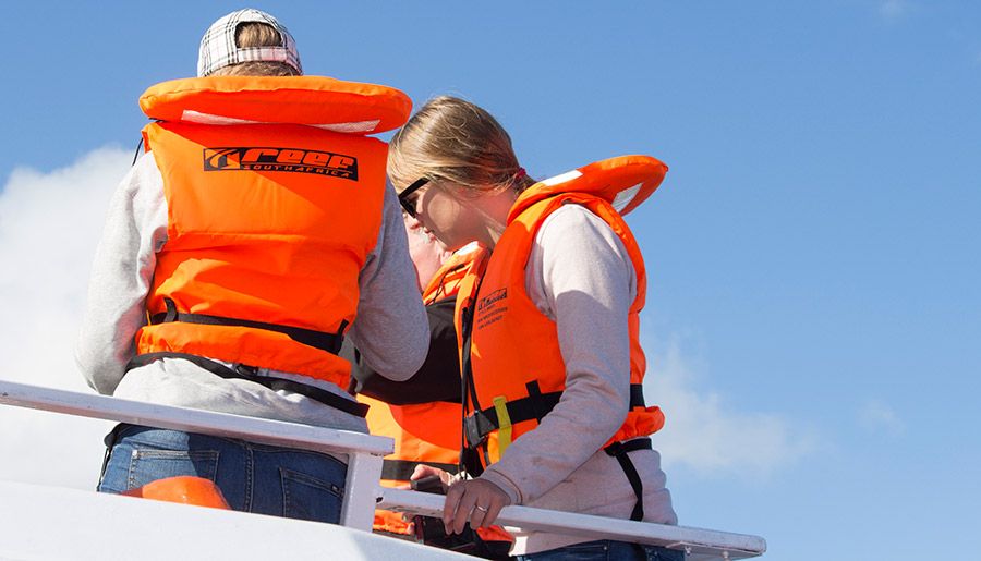 Hermanus Whale Cruises