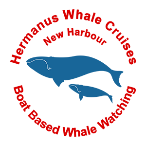 Hermanus Whale Cruises