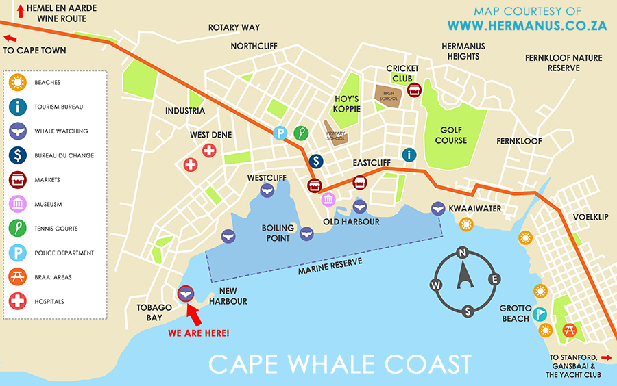 Hermanus Whale Cruises